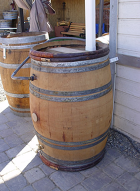 Rain Barrel from reclaimed recycled green used oak wine barrels